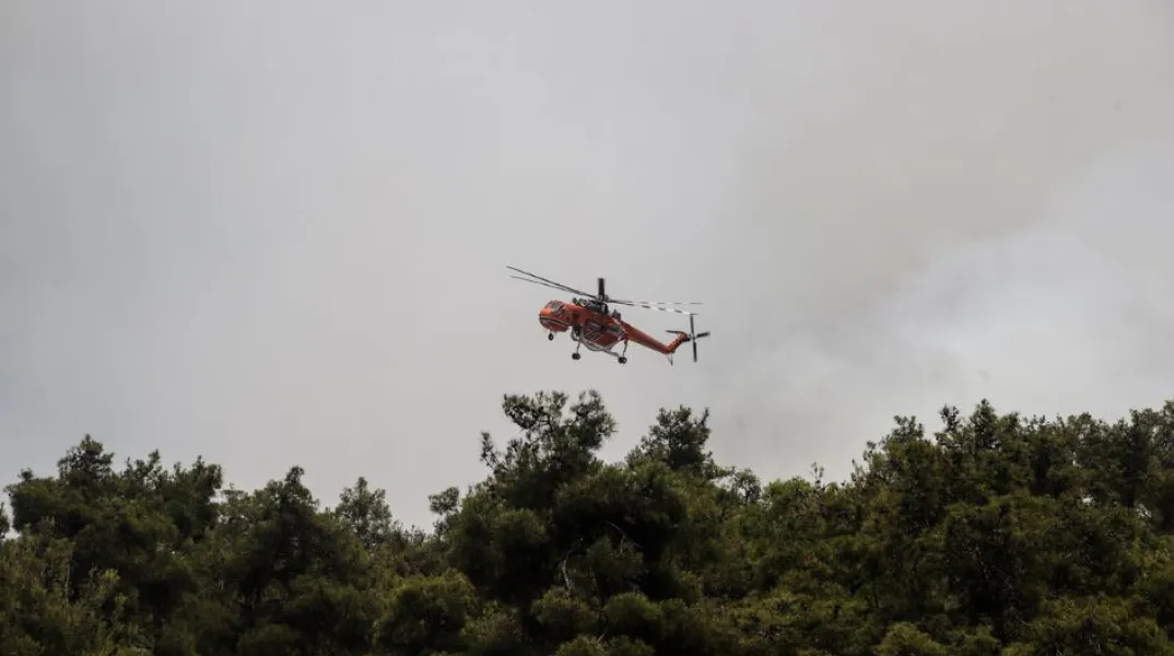 Θεσσαλονίκη: Φωτιά στη Σουρωτή - Στάλθηκε μήνυμα από το 112 στους κατοίκους να είναι σε ετοιμότητα και να ακολουθούν οδηγίες. 