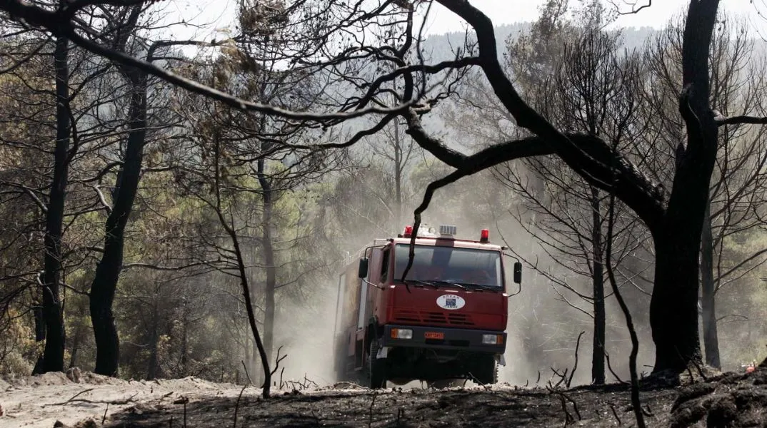 Χαλκιδική: Απαγόρευση διέλευσης την Τετάρτη σε Κασσάνδρα, Σιθωνία και Δήμο Αριστοτέλη λόγω αυξημένου κινδύνου πυρκαγιάς - Αναλυτικά οι περιοχές.