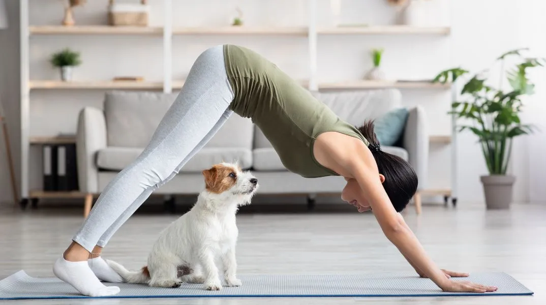 Πρώτη φορά Puppy Yoga στη Χαλκιδική με διασωθέντα κουτάβια - Πρωτοβουλία ευεξίας και φιλανθρωπίας για την ενίσχυση αδέσποτων ζώων.