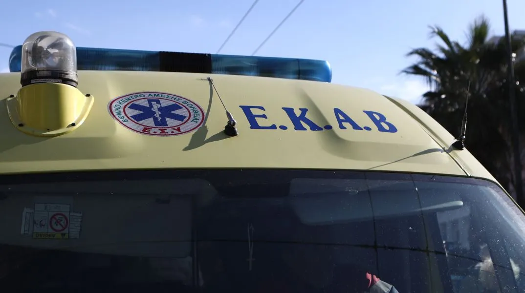Θεσσαλονίκη: Σκύλος δάγκωσε ανήλικο - Πώς έγινε το περιστατικό και γιατί συνελήφθη 44χρονη