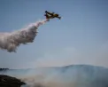 Υπό έλεγχο τέθηκε η πυρκαγιά στη Μόλα Καλύβα Χαλκιδικής μετά από επιχείρηση 60 πυροσβεστών και ελικοπτέρου - Έρευνες για τα αίτια από το Ανακριτικό