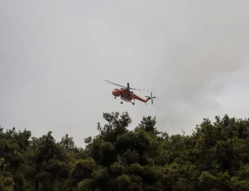 Θεσσαλονίκη: Φωτιά στη Σουρωτή - Στάλθηκε μήνυμα από το 112 στους κατοίκους να είναι σε ετοιμότητα και να ακολουθούν οδηγίες. 