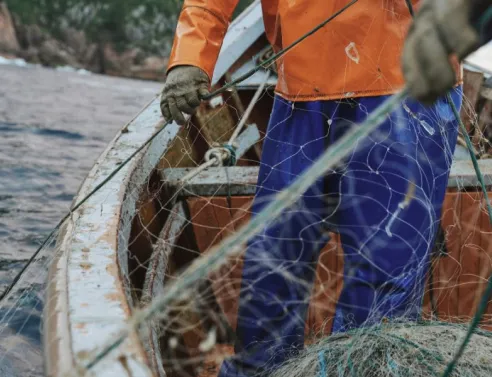 Θεσσαλονίκη: Κατασχέθηκαν 336 κιλά σαρδέλες και ένας ξιφίας στην ιχθυόσκαλα Νέας Μηχανιώνας λόγω έλλειψης ιχνηλασιμότητας - Πρόστιμο στον έμπορο