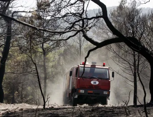 Χαλκιδική: Απαγόρευση διέλευσης την Τετάρτη σε Κασσάνδρα, Σιθωνία και Δήμο Αριστοτέλη λόγω αυξημένου κινδύνου πυρκαγιάς - Αναλυτικά οι περιοχές.
