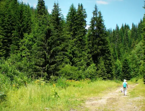 Δράμα: Ο απόλυτος προορισμός για wellness, οινοτουρισμό και φύση