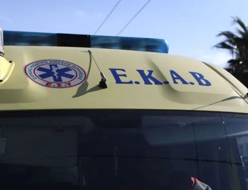 Θεσσαλονίκη: Σκύλος δάγκωσε ανήλικο - Πώς έγινε το περιστατικό και γιατί συνελήφθη 44χρονη