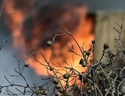 Πυρκαγιά εκδηλώθηκε στα Σήμαντρα Χαλκιδικής - Επιχειρούν 45 πυροσβέστες, 4 εναέρια μέσα και μηχανήματα του Δήμου υπό τη συνεχή επιτήρηση drones