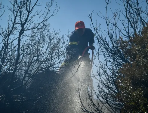 Χειροπέδες σε 59χρονο που φέρεται να έβαλε έξι φωτιές στη Σίνδο