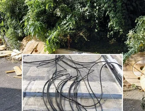 Νέο κύμα κλοπών σε σχολεία της Θεσσαλονίκης, όπου άγνωστοι αφαίρεσαν καλώδια φωτοβολταϊκών - Ο δήμαρχος ζητά άμεσα ενίσχυση της αστυνόμευσης.